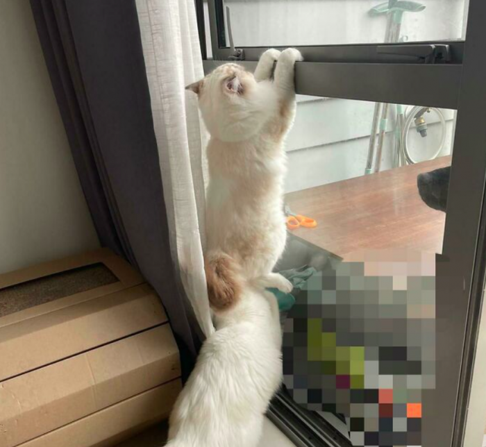 "Bēdz, es palīdzēšu!"