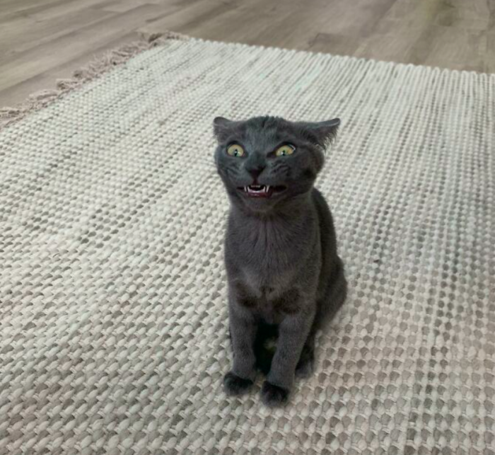 "GRIBU ĒĒĒĒĒST!"