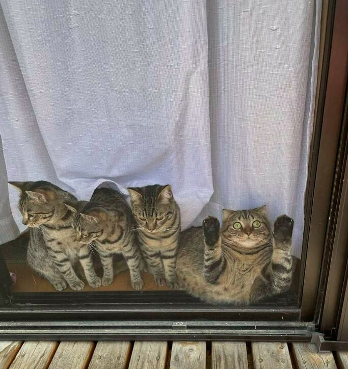 "HEEELP!"