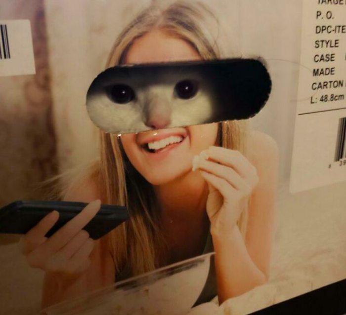 "Sauciet mani par Lindu!"