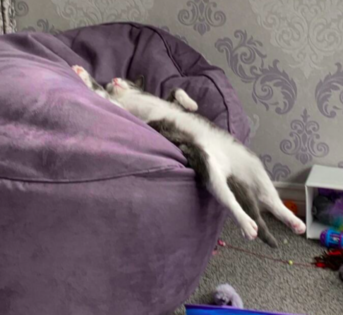 Zzzzzzzzz