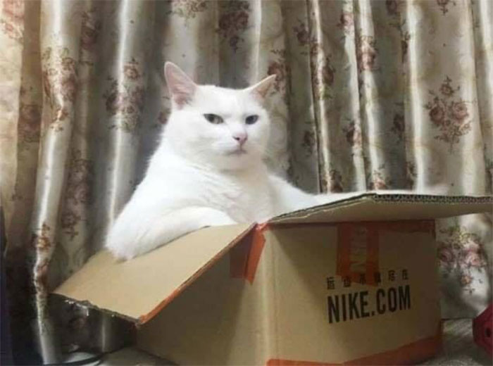 Pienāc tik klāt, just do it...un es zvetēšu!