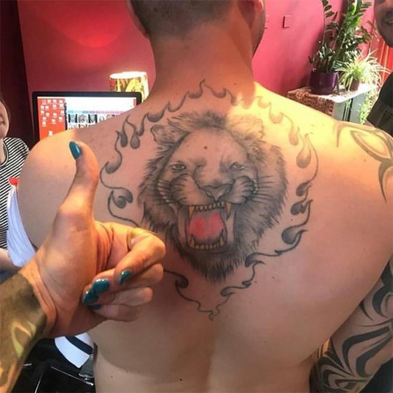 Izskatās, ka lauvai jau ir bijusi smaga dzīve...