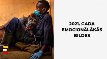 30 emocionālas un sirdi plosošas 2021. gada bildes no NATIONAL GEOGRAPHIC
