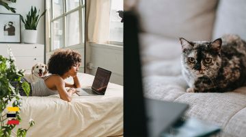 IETEIKUMI, KĀ ĒRTI JUSTIES ONLINE KAZINO VIDĒ