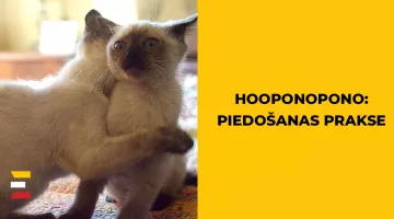 HO’OPONOPONO