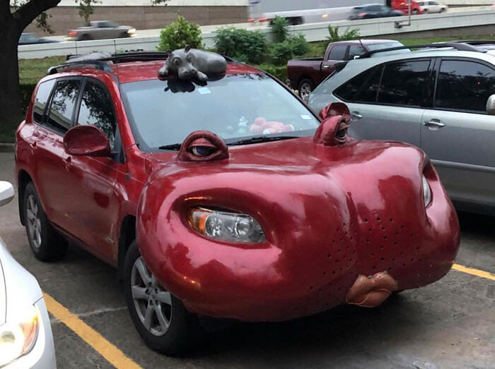 Šī mašīna ir jāved uz autoservisu vai arī tomēr uz zoodārzu?