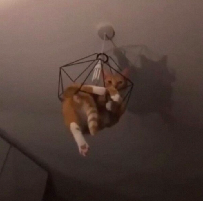 "It kā varētu uzēst, bet... varētu arī pagulēt!"