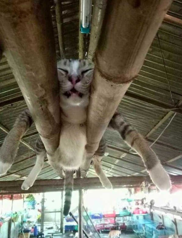 "Mana superspēja ir nedarīt neko!"