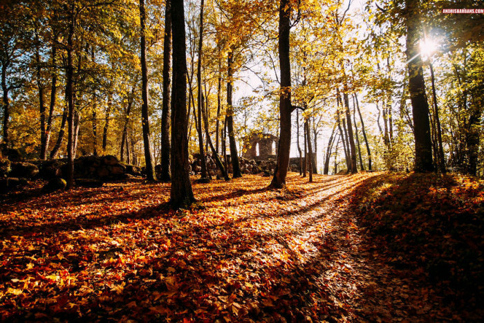 Sigulda