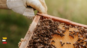 BITES un to pozitīvā ietekme uz apkārtējo vidi
