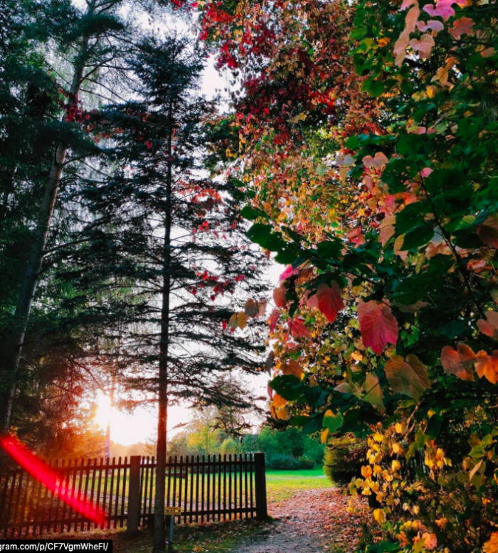 Skrīveru Dendroloģiskais parks