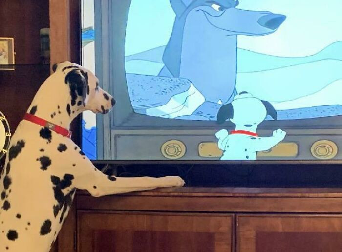 Brāli, ko tu dari televizorā?