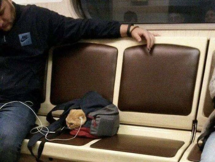 Kad sabiedriskā transporta drāmas paliek par traku.