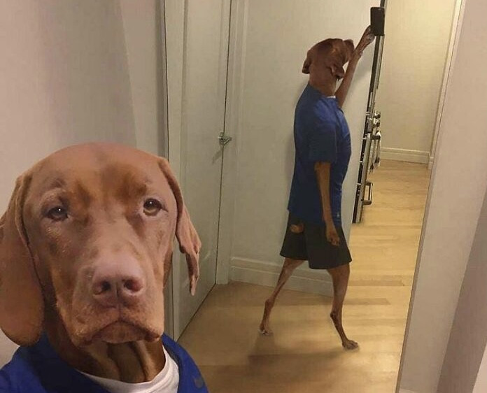 Nelabvēļi teiks, ka šis ir fotošops..