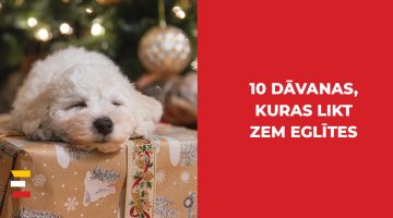 10 lieliskas idejas dāvanām Ziemassvētkos, kas patiks visiem