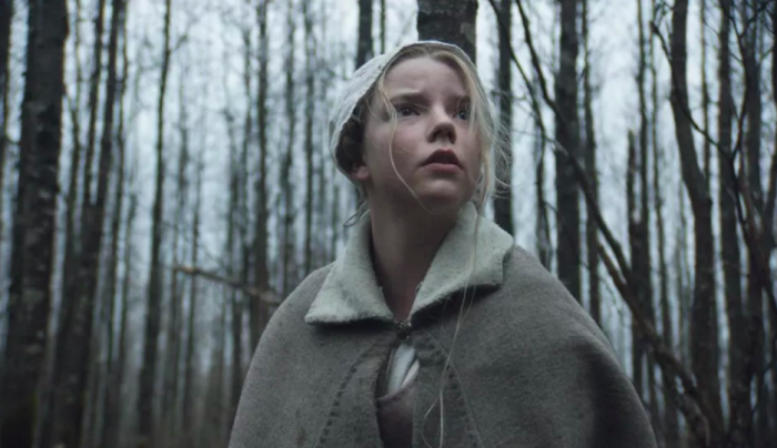 The Witch (2015)